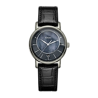 DiaMaster ( R14064915 )