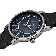 DiaMaster ( R14064915 )