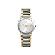 Centrix ( R30932103 )-Rado216-sm