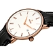 DiaMaster Thinline Automatic ( r14068016 )-1-sm