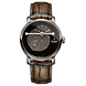 DiaMaster Automatic ( r14061306 )-Rado417-sm