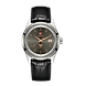 Golden Horse Automatic ( r33101105 )-Rado549-sm