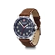 Fieldforce blue &amp; brown-2-sm