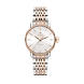 Coupole Classic Automatic ( R22862027 )_A-Rado10848-sm