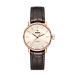 Coupole Classic Automatic ( R22865115 )_A-Rado10852-sm