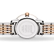 Coupole Classic ( R22897933 )_A-2-sm