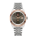 Golden Horse Automatic ( r33100103 )_A-Rado101148-sm