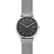 Signatur Slim Titanium and Steel-Mesh Watch-SKW6483-sm