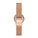 Leonora Rose Gold-Tone Steel-Mesh Watch-2-sm