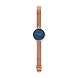 Gitte Rose Gold-Tone Steel-Mesh Watch-1-sm