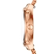 Annelie Rose-Tone Steel-Mesh Watch-2-sm