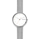 Signatur Steel-Mesh Watch-SKW2623-sm
