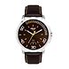 Timex - TW027HG06-Timex100-sm