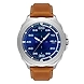 Timex - TW034HG02-Timex107-sm