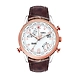 Timex- TWEG15106-Timex209-sm