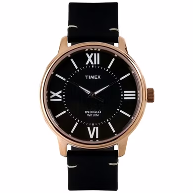 Timex- TWEG18205-Timex316