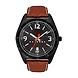 Timex- TW031HG05-Timex330-sm