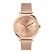 Timex-TWEL12902-Timex456-sm