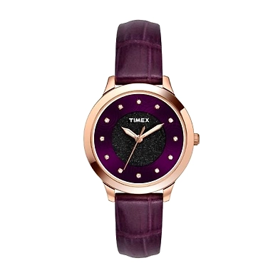 Timex-TW000T616-Timex585
