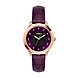 Timex-TW000T616-Timex585-sm