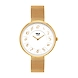 Timex-TW031HL04-Timex604-sm