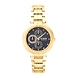 Timex-VSP500518-Timex611-sm