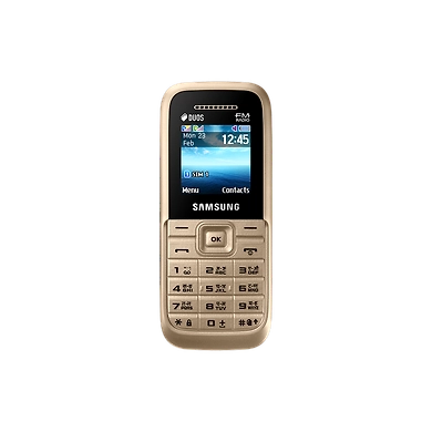 Samsung Guru FM Plus-B110-Gold