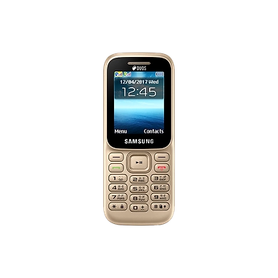 Samsung Guru Music 2-B310-Gold
