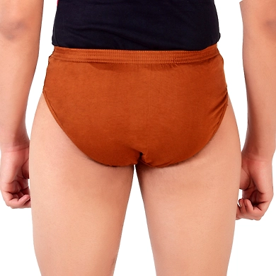 VICTORIA FINE FRENCHIE/BRIEF INNER ELASTIC ( PACK OF 10 )-80-2
