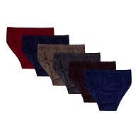 VICTORIA LADIES PANTY PLAIN INNER ELASTIC ( PACK OF 10 )