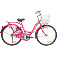 Buy BSA Ladybird Cycles for All Age Groups Punjab Cycle Store