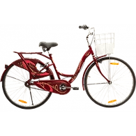 Buy BSA Ladybird Cycles for All Age Groups Punjab Cycle Store