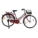 TATA Stryder PARI 20&quot;-TATA246-sm
