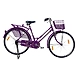 TATA Stryder PARI 20&quot;-TATA247-sm