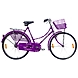 TATA Stryder GLORY 20&quot; with Accessories-TATA249-sm
