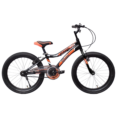TATA Stryder RAGE 20Tx2.40-TATA270