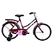 TATA Stryder NANHI PARI 20T-TATA294-sm