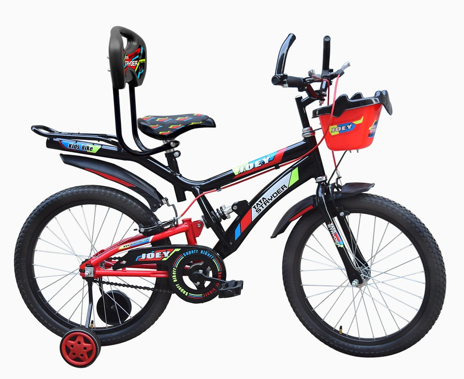 Tata cycles shop for kids