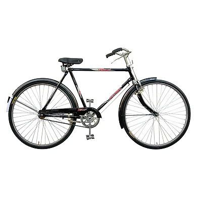 TATA Stryder Guru 22Ã¢â‚¬Â-TATA364