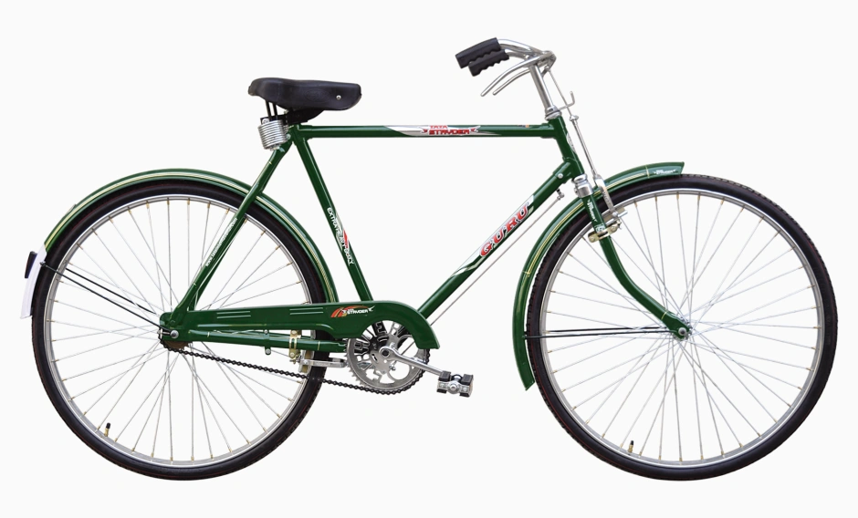 Neelam cycle 20 discount inch