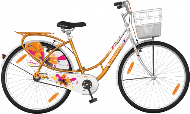 Ladybird dreamz 2024 cycle price