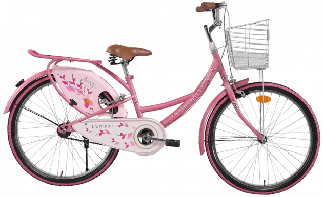 lady bird shine cycle price