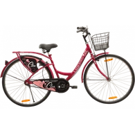 Ladybird cycle 2024 for girl