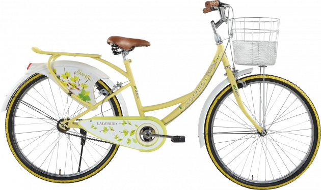 Bsa breeze best sale cycle price