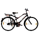 TATA Stryder Skybolt IC V brake-TATA093-sm
