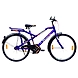 TATA Stryder Skybolt IC V brake-TATA094-sm