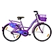 TATA Stryder MINK (MTB)-TATA241-sm
