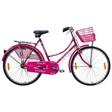 TATA Stryder GLORY 20&quot; with Accessories-TATA248