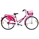 TATA Stryder Gracy STD-TATA250-sm