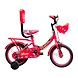 TATA Stryder INDIBIKE 14T EVA TYRE STEEL RIM-TATA279-sm